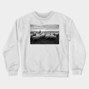 Shepherd Crewneck Sweatshirt